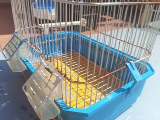 Jaula pájaros - Azul y Blanca