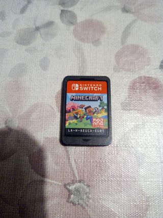 Minecraft Nintendo Switch