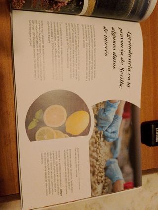 Sabores de la provincia de Sevilla 