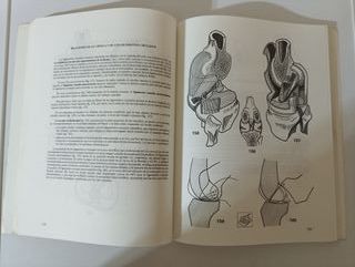 Cuadernos de fisiología artícular 2.  I.A.Kapandj