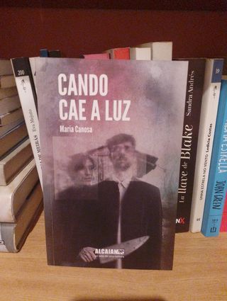 Cando cae a luz (Galician Edition)