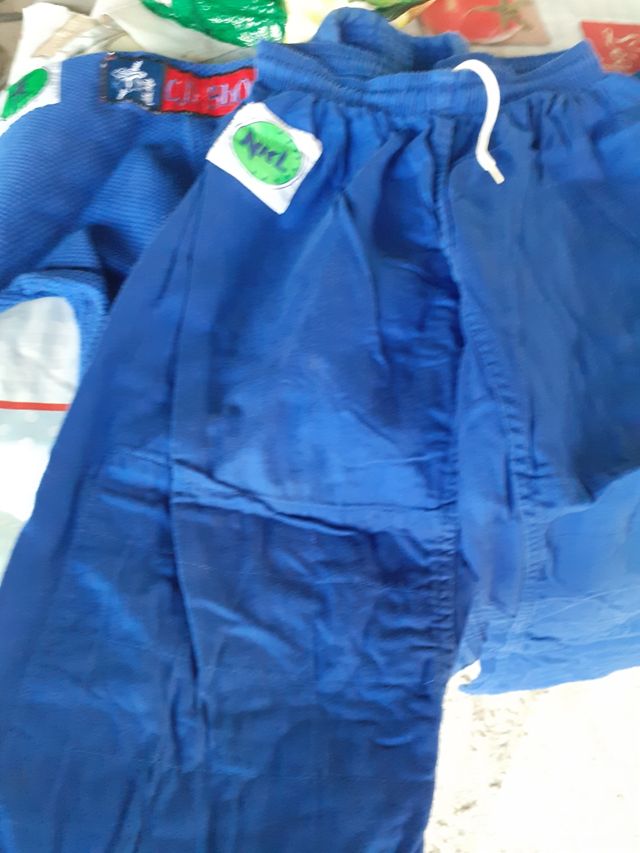 Mono de judo