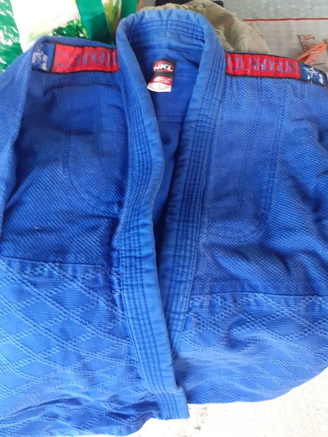 Mono de judo