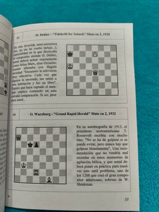 Libro Ajedrez Problemas para gente sin problemas.