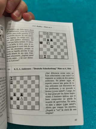 Libro Ajedrez Problemas para gente sin problemas.