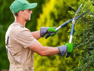 TRABAJOS JARDINERÍA