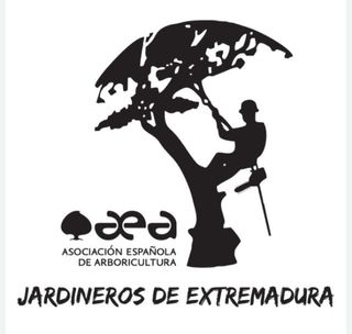 Poda y tala en altura