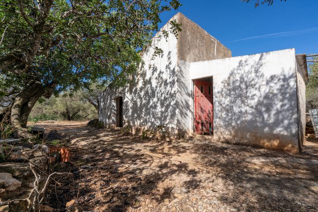 Finca rústica con olivos y casa aperos