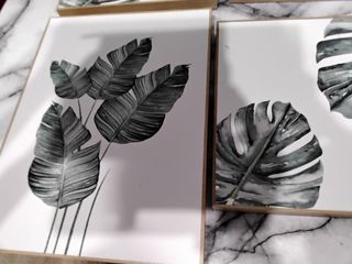4 Cuadros Decorativos - Hojas