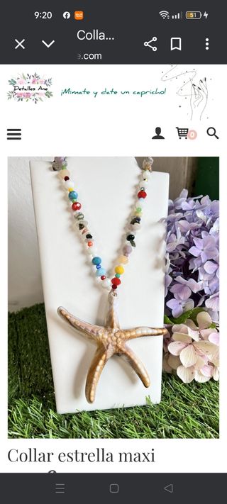 Collar Estrella mar multicolor