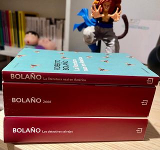 Lote libros Roberto Bolaño (Editorial Debolsillo)
