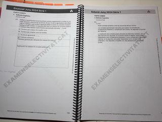 Libro de SELECTIVIDAD de CASTELLANO (2024-2025)