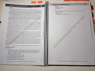 Libro de SELECTIVIDAD de CASTELLANO (2024-2025)