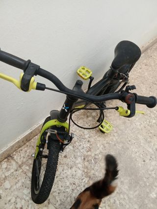 Bicicleta niño 