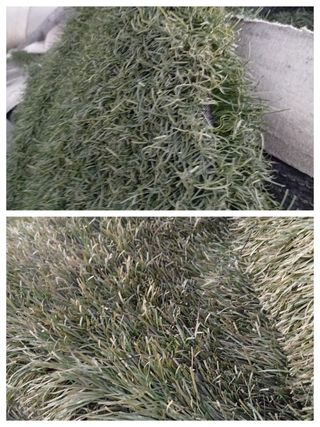 Cesped artificial reciclado