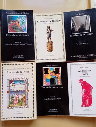 Libros de Cátedra Letras Universales & Hispánicas 