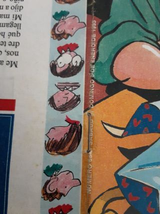 Pequeño país. Año 1995 completo