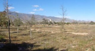 Terreno en venta en Plaza de la Luz en Ejido (El)