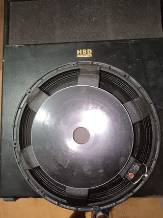 Altavoz de graves de 18 pulgadas.