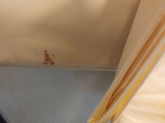 Sábanas Beige Bordadas - Algodón