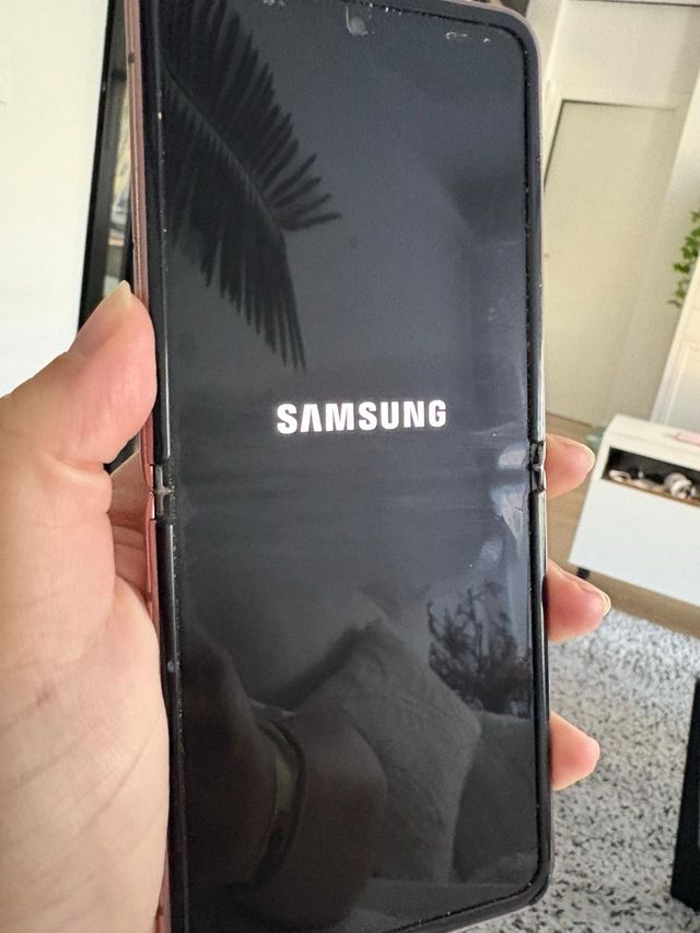 Samsung Galaxy Z Flip Rosa