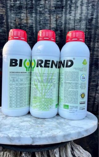 BIOREND PARA MANTENER PERFECTO TU BONSAI