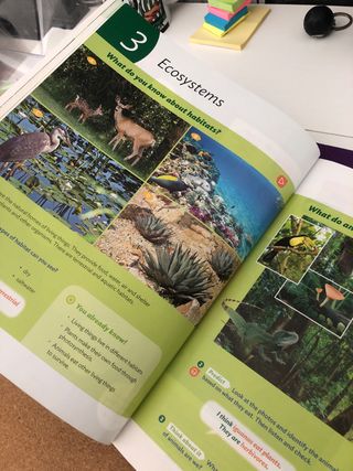 LIBROS SOCIAL Y NATURAL SCIENCE 5 PRIMARIA