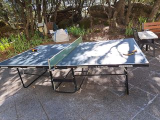 Mesa Ping Pong Boomerang plegable y con ruedas