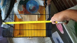 Jaula negra y amarilla