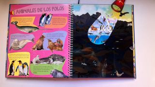 Libro Linterna Animales del Mar