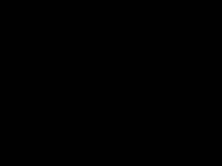 Números 5, 11, 13, 14