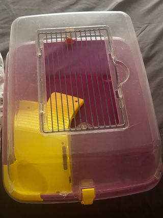 Acuario Tortugas - Morado Amarillo