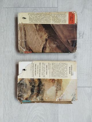 Dos libros clásicos 