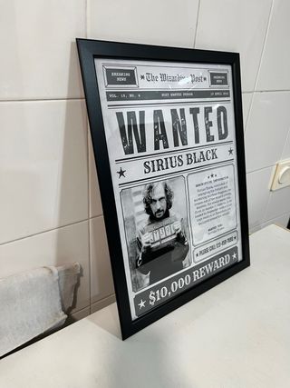 Cuadro del Periódico de Harry Potter.