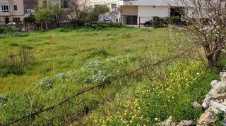 Terreno en venta en Lloseta