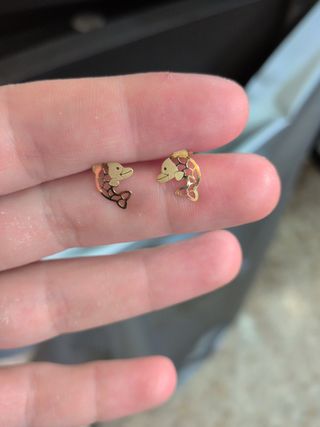 Pendientes Delfín Oro