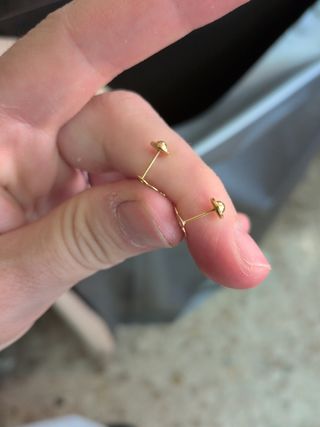 Pendientes Delfín Oro