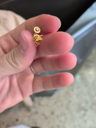 Pendientes Delfín Oro