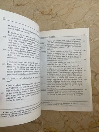 Lazarillo de Tormes (Biblioteca Didactica Anaya...