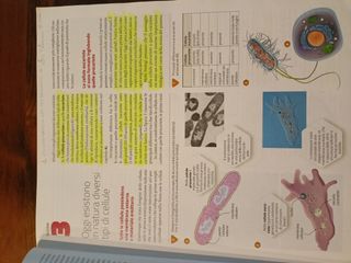 Introduzione alla biologia.azzurro