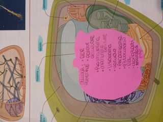 Introduzione alla biologia.azzurro