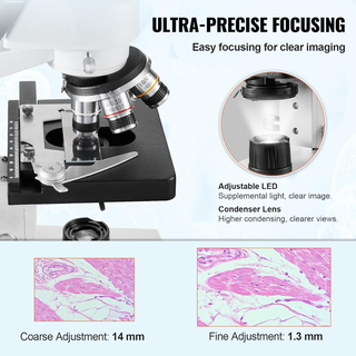 Microscopio Ottico Binoculare Microscopio Ingrandi