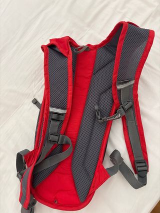 Camel bag