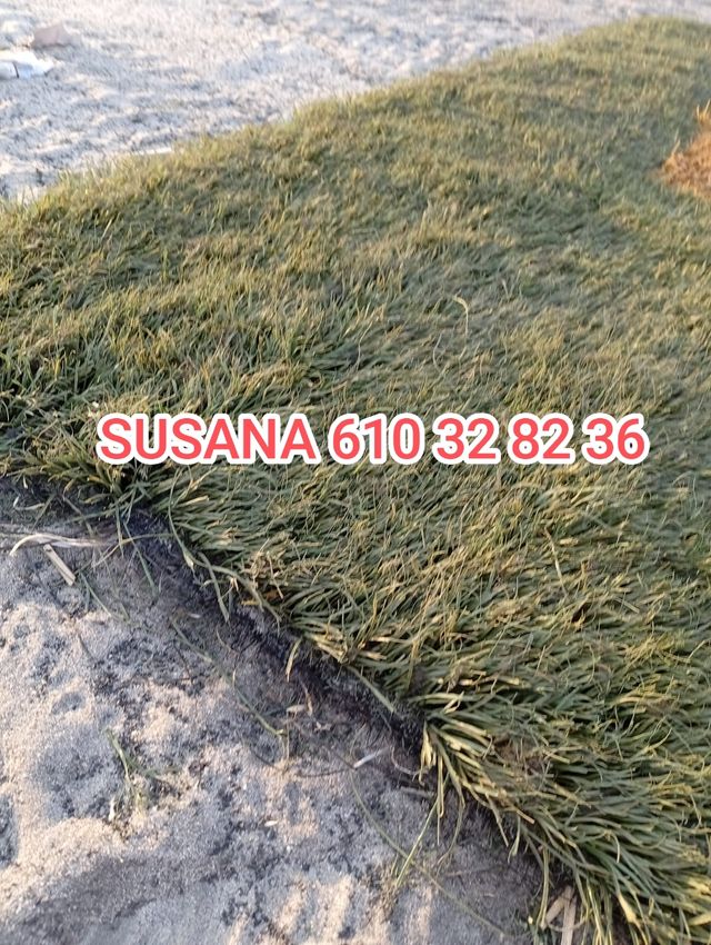 Cesped artificial reciclado