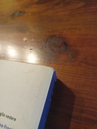 Il diario di Anna Frank