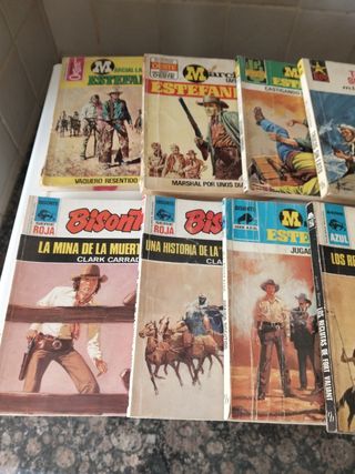 LOTE 10 NOVELAS OESTE 