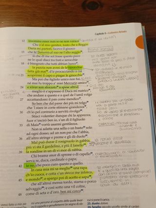 I Classici Nostri Contemporanei