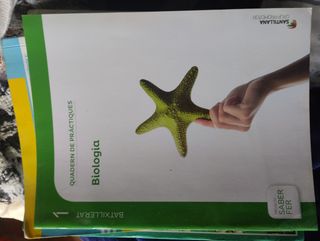 Libros de la eso y bachillerato  viçen de vives