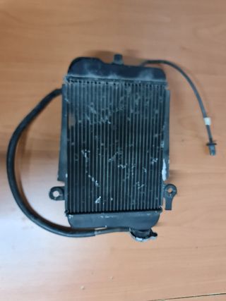Radiador Honda SH 300