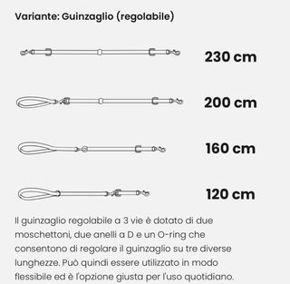 Collare e guinzaglio per cani in pelle